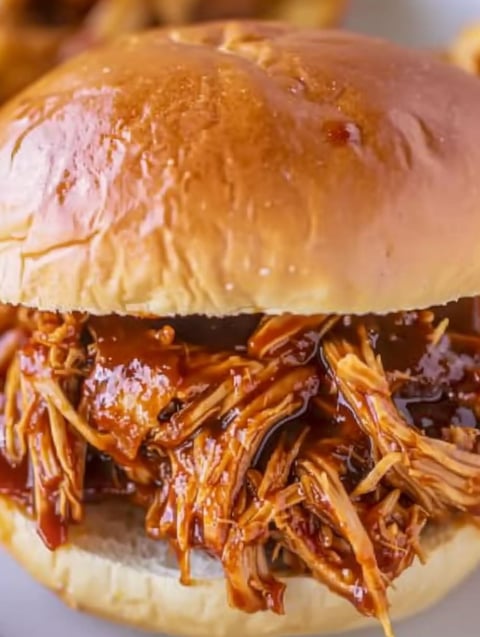 A close up of a pulled pork sandwich.
